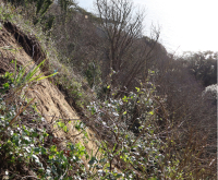 A photograph of the landslide off The Leas in Folkestone taken in 2024.