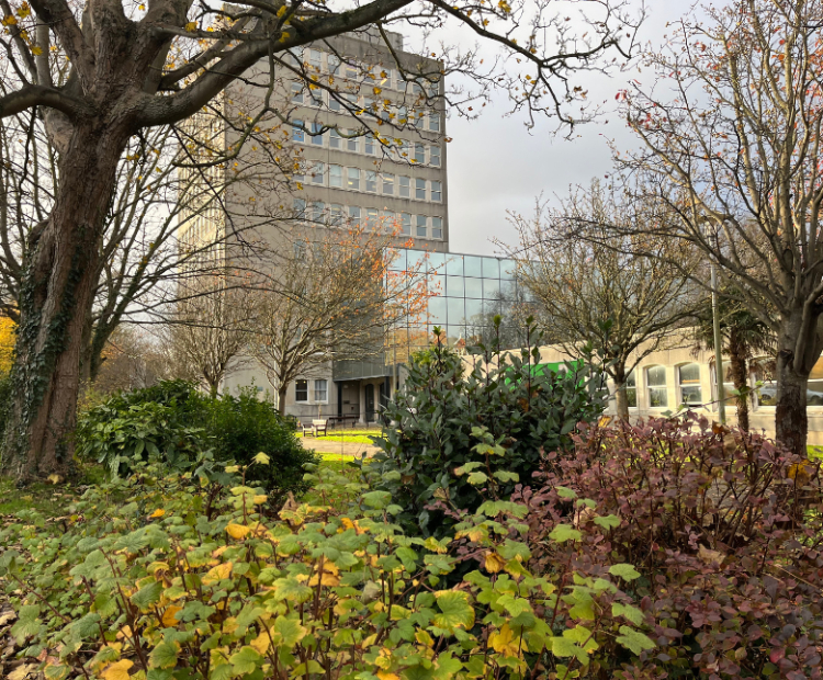 An image of Folkestone Civic Centre in Autumn surrounded by grass and bare trees as well as a row of bushes and leaves