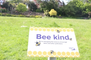 Bee kind