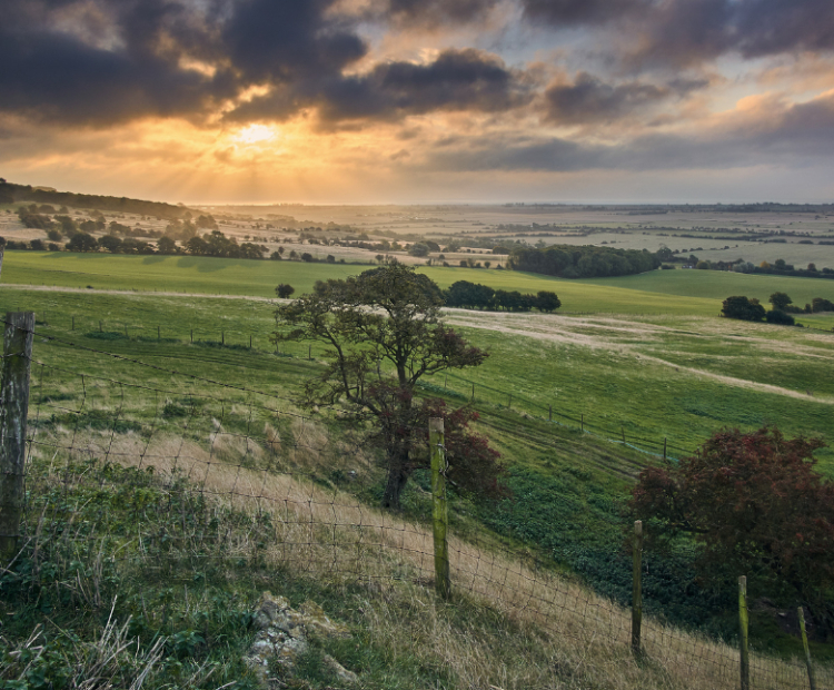 An image of the Romney Marsh countryside