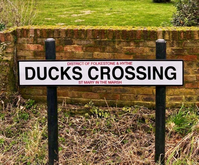 The image depicts the road sign 'Duck's Crossing' on a residential street in St Mary in the Marsh