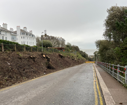 The top of Road of Remembrance with vegetation cleared from bank and properties behind.