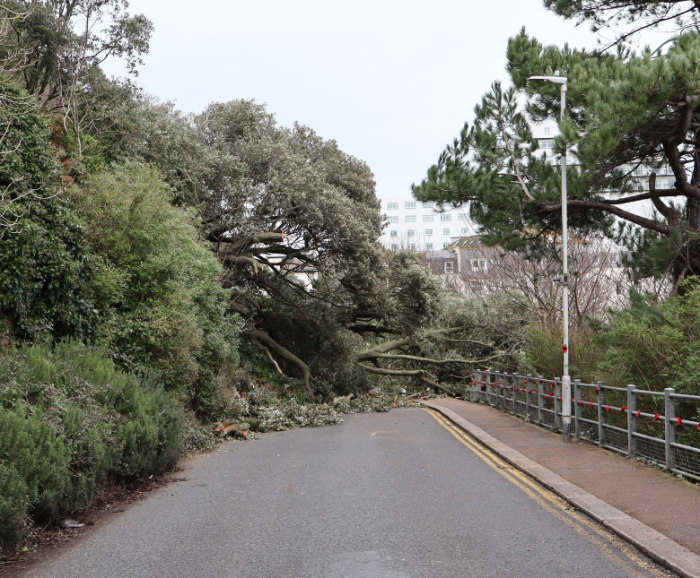 An image of a landslip in Folkestone