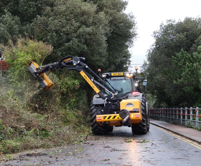 Image shows clearance work taking place alongside bank beside Road of Remembrance