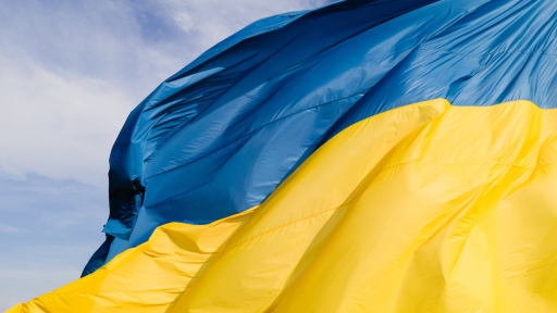 Ukraine flag image